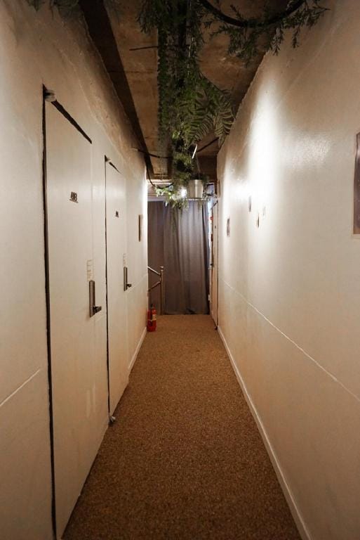 Space ARA Hostel in Seoul