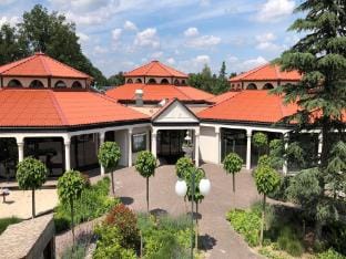 Charming Villa in Natural Surroundings Villa in Arcen