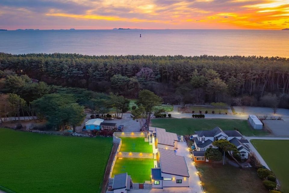Taean Dog Day Pet Pool Villa Bed and Breakfast in South Korea
