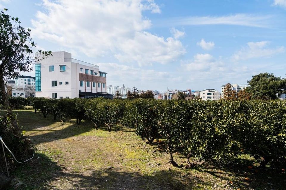 Backrokdam pension Bed and Breakfast in South Korea