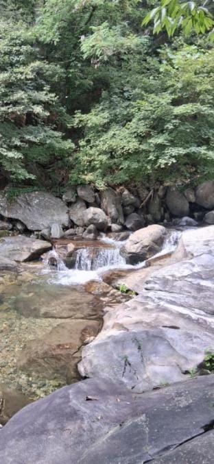Green Bee Pension Bed and Breakfast in Gyeonggi-do