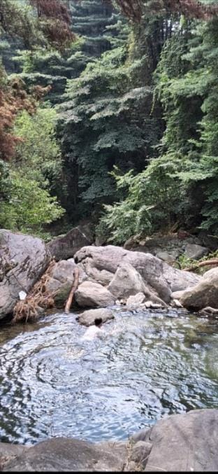 Green Bee Pension Bed and Breakfast in Gyeonggi-do