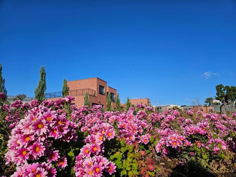 Seogwipo Tre Pension Bed and Breakfast in South Korea