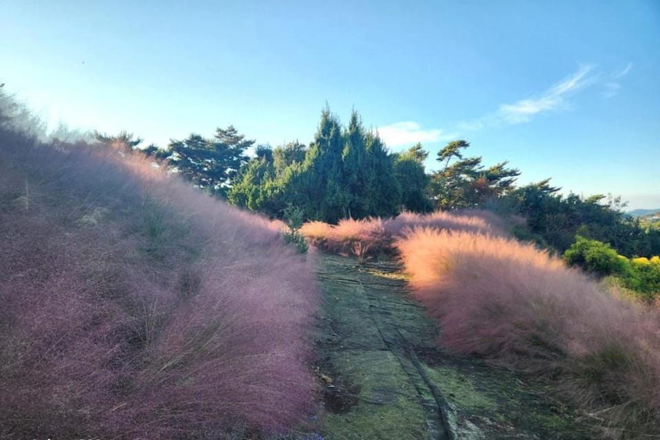 Solbada Spa Pension Bed and Breakfast in South Korea