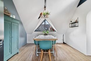 Luxurious villa "De Steenbok" close to forest  Villa in Friesland, Netherlands