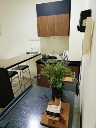 Tiara Desaru GF 1 bedroom, swimming pool Netflix Apartment in Johor