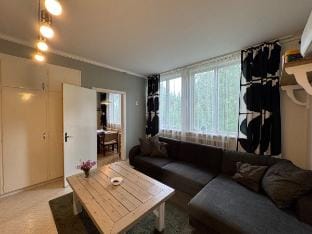 Spacious studio in Hedsjö Apartment in Sweden