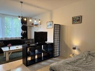 Spacious studio in Hedsjö Apartment in Sweden