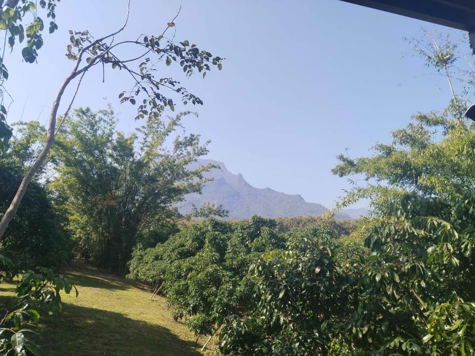 Billy the Homestay Vacation rental in Thailand