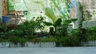 Homestay Mui Ne - Phan Thiet cheap! Vacation rental in Phan Thiet