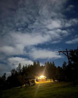 Penta Cabin Ooty Wildvibes Vacation rental in Ooty