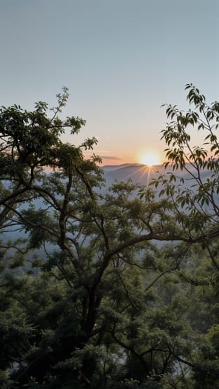 Stone Cottage | Mukteshwar | 2BR- by Homeyhuts Vacation rental in Uttarakhand