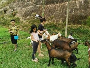 Habu Houses Vacation rental in Cameron Highlands