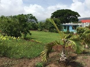 Green Living Farm House Villa in Maharashtra