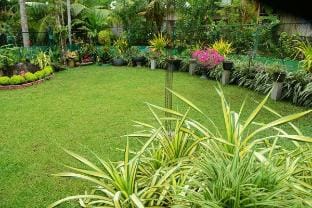 Aloka Homes Apartment 2 Vacation rental in Hikkaduwa