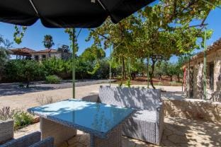 olive grove by the sea 30m from the beach Vacation rental in Messenia