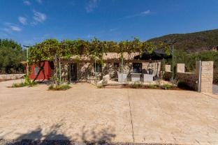 olive grove by the sea 30m from the beach Vacation rental in Messenia