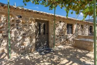 olive grove by the sea 30m from the beach Vacation rental in Messenia