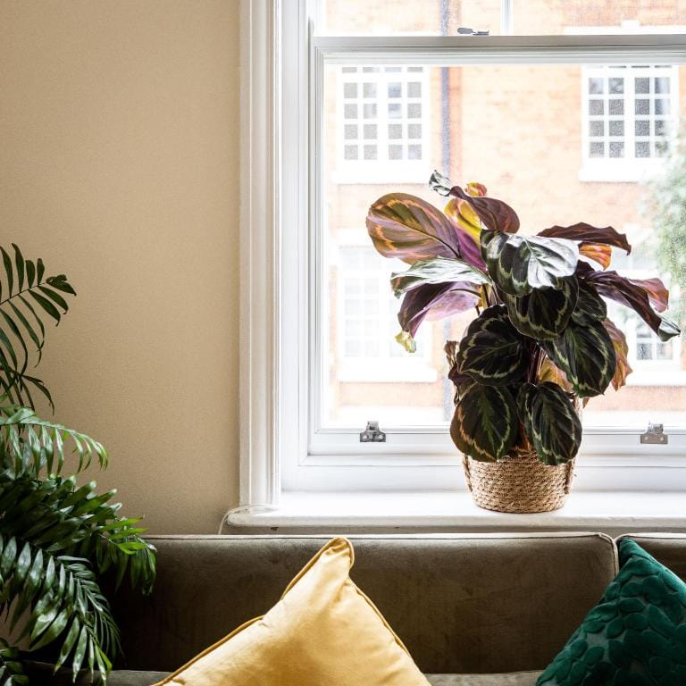  One Bedroom Apartment in Marylebone Apartment in City of Westminster