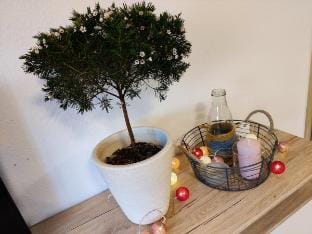 FeWo Brunow Zimmer Paula ,,In Nature Home" Vacation rental in Thuringia, Germany