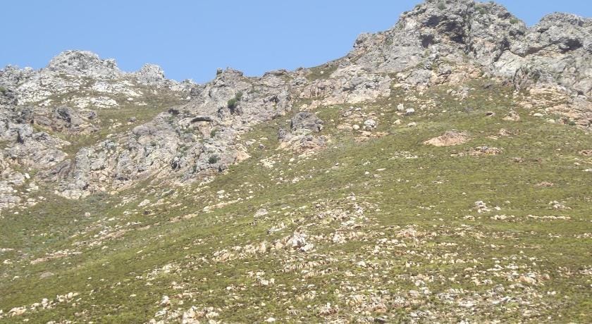 Arendsnest Self Catering Apartment in Cape Town