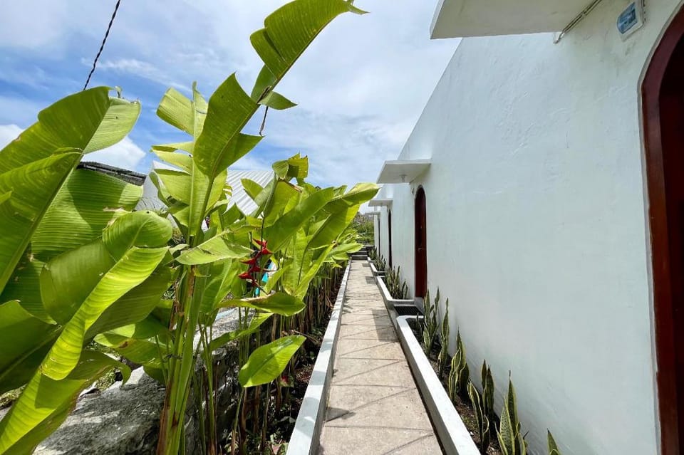 Batur Sunsun Kintamani Bed and Breakfast in Karangasem Regency