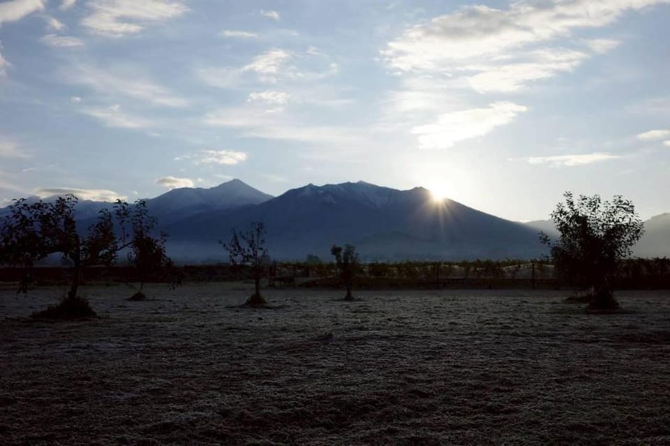 ワイナリーの宿 田舎倶楽部 Bed and Breakfast in Hokkaido Prefecture