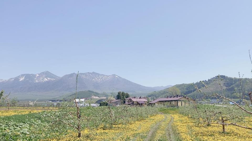 ワイナリーの宿 田舎倶楽部 Bed and Breakfast in Hokkaido Prefecture