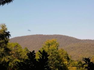 Kookaburras Perch-Peaceful, Secluded, Dog Friendly Apartment in Victoria
