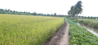 Cauke Homestay Vacation rental in Cambodia