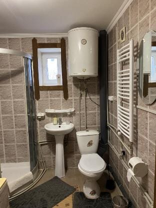 House Forest Silence Vacation rental in Ukraine
