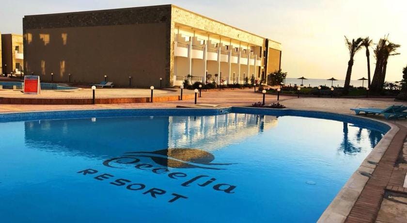 Harmony Sunny Chalet With Wi-Fi Apartment in Hurghada