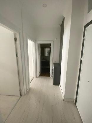 Apartment number 11 2+1 Apartment in Antalya