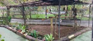 D'Royale Tapos Bogor Luxury tent in West Java