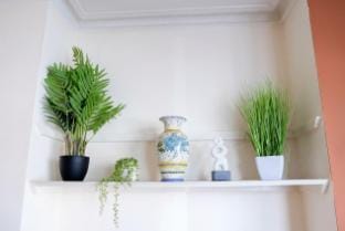 Cosy Charming 2 Double bedroom house Vacation rental in London
