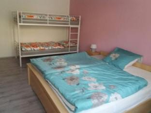 Apartment Jáchymov Ore Mountains Vacation rental in Saxony