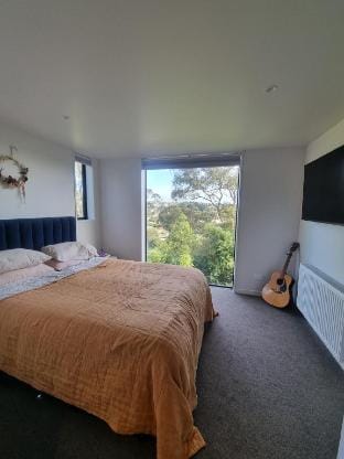 New home with tree top and ocean views Vacation rental in Dunedin
