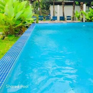Apong Martina's Guest House in Elyu Farm Stay in La Union