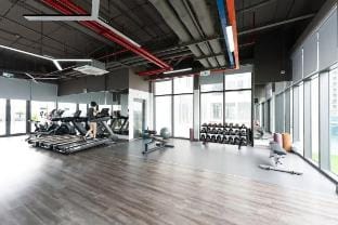 Eco Green D7/ free pool and gym / Big Promo Apartment in Ho Chi Minh City