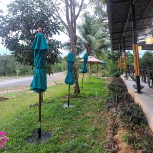 Green Gen Hostel Phuket bed in 4-Bed mixed room 1 Vacation rental in Phuket