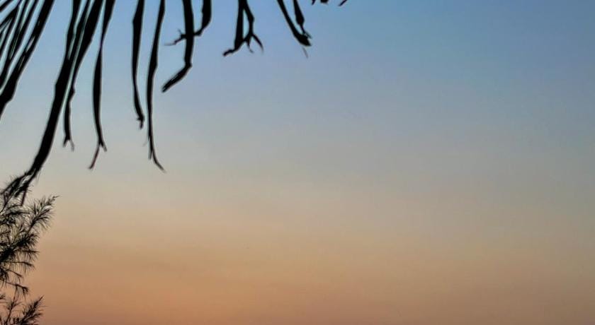 Marari adonis beach villa Vacation rental in Kerala