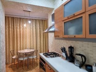 City Apartment Vacation rental in Baku