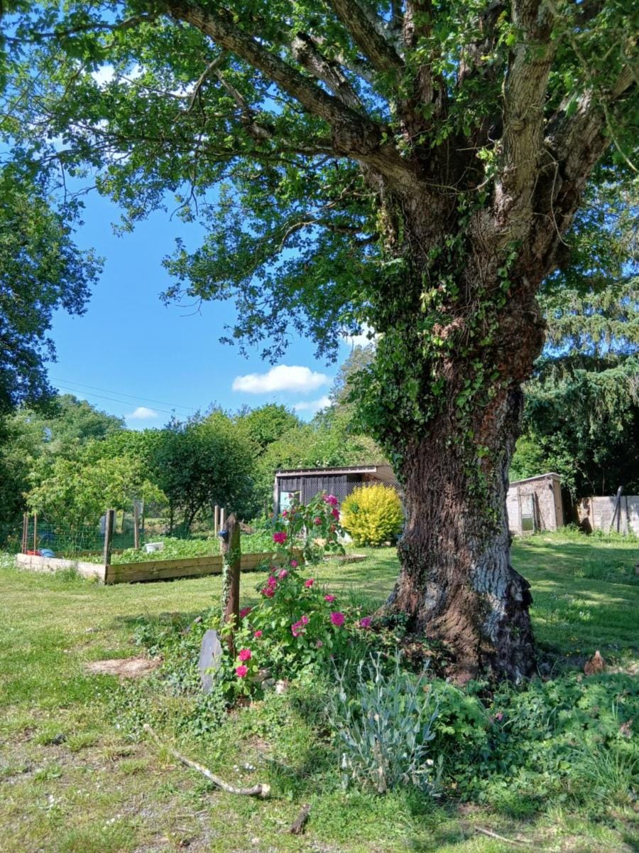 Le Poney Rouge Gîte entre Nantes et Rennes Apartment in Brittany