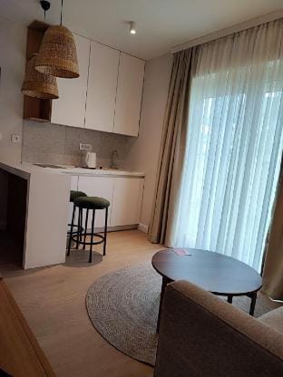 Sunshine Studio Ap with Sea View Apartment in Budva Municipality