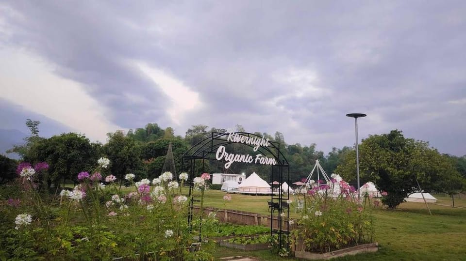 Rivernight Camping and Cafe Farm Stay in Thailand