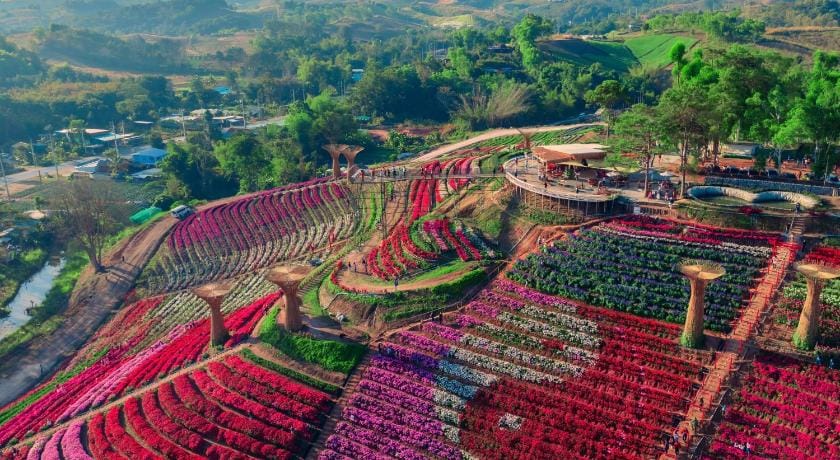 Khaokho flower camp Hotel in Laos