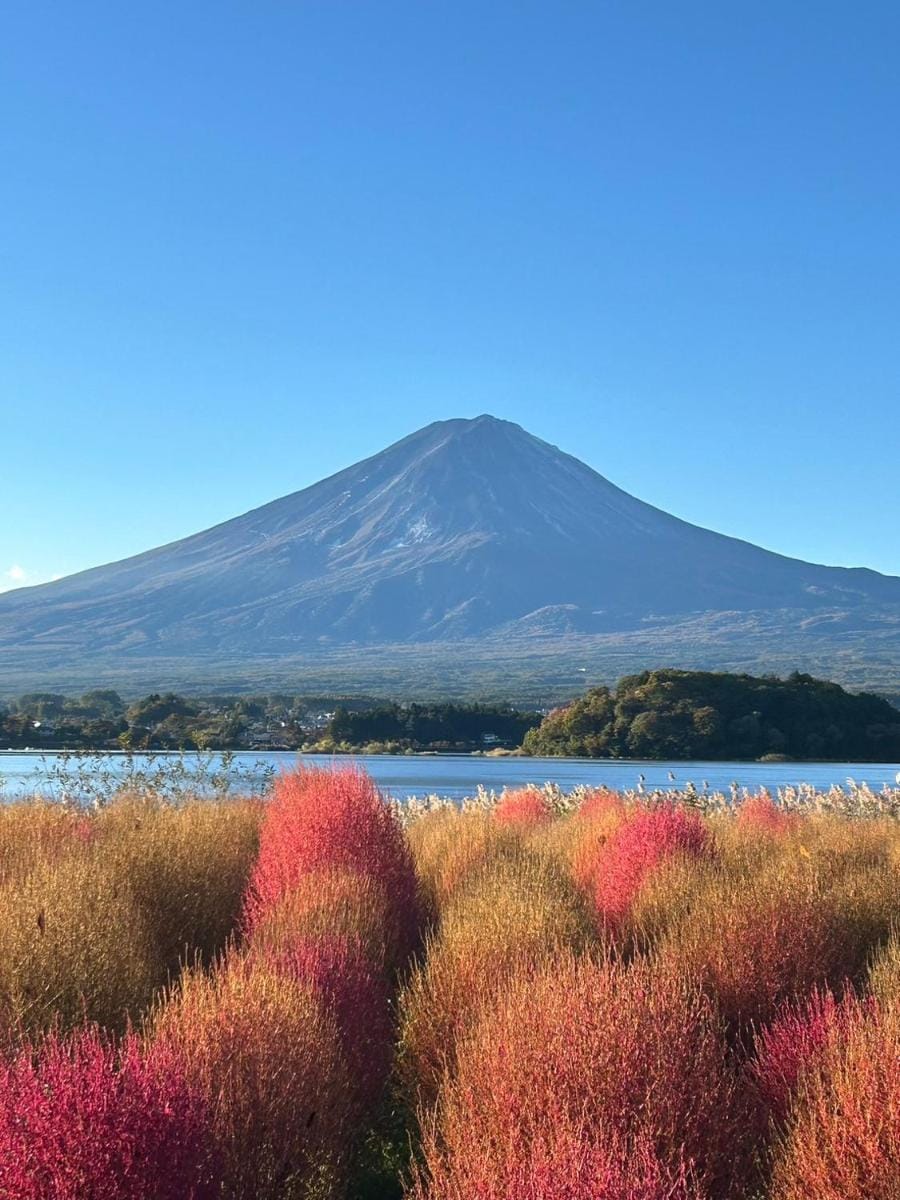 Lealea: A relaxing private cottage with a view of Mt. Fuji Vacation rental in Shizuoka Prefecture
