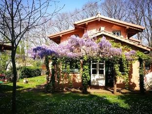The quiet a stone's throw from Rome.2 Vacation rental in Grottaferrata