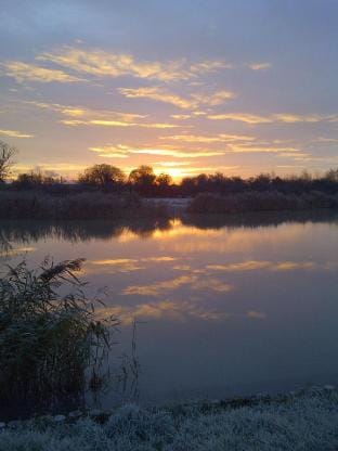 Dragonfly Stays at Lower Lakes Vacation rental in Sedgemoor