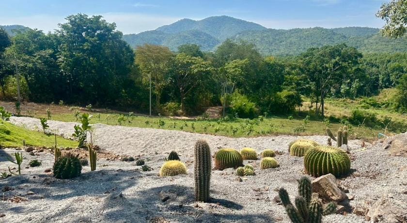 Rabbit Forest สวนผึ้ง Chalet in Thailand
